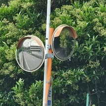 ミラーが樹木で見えなくなっている